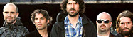 Super Furry Animals  -